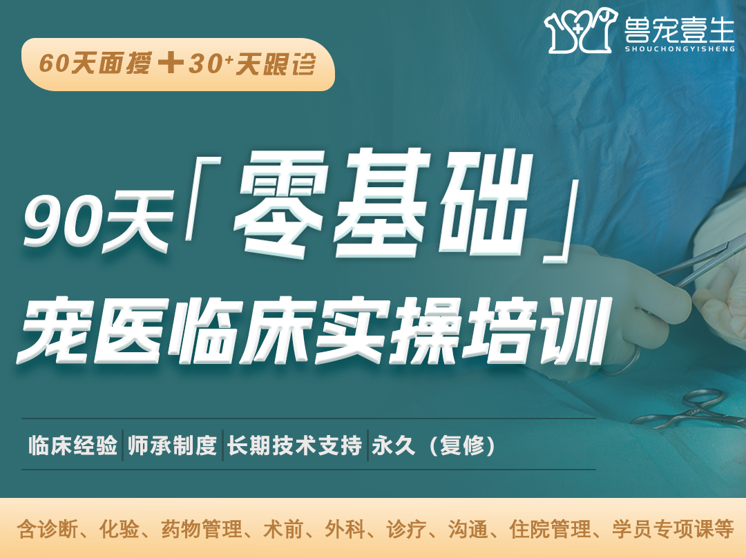 宠医临床实操全科培训｜六月集训营